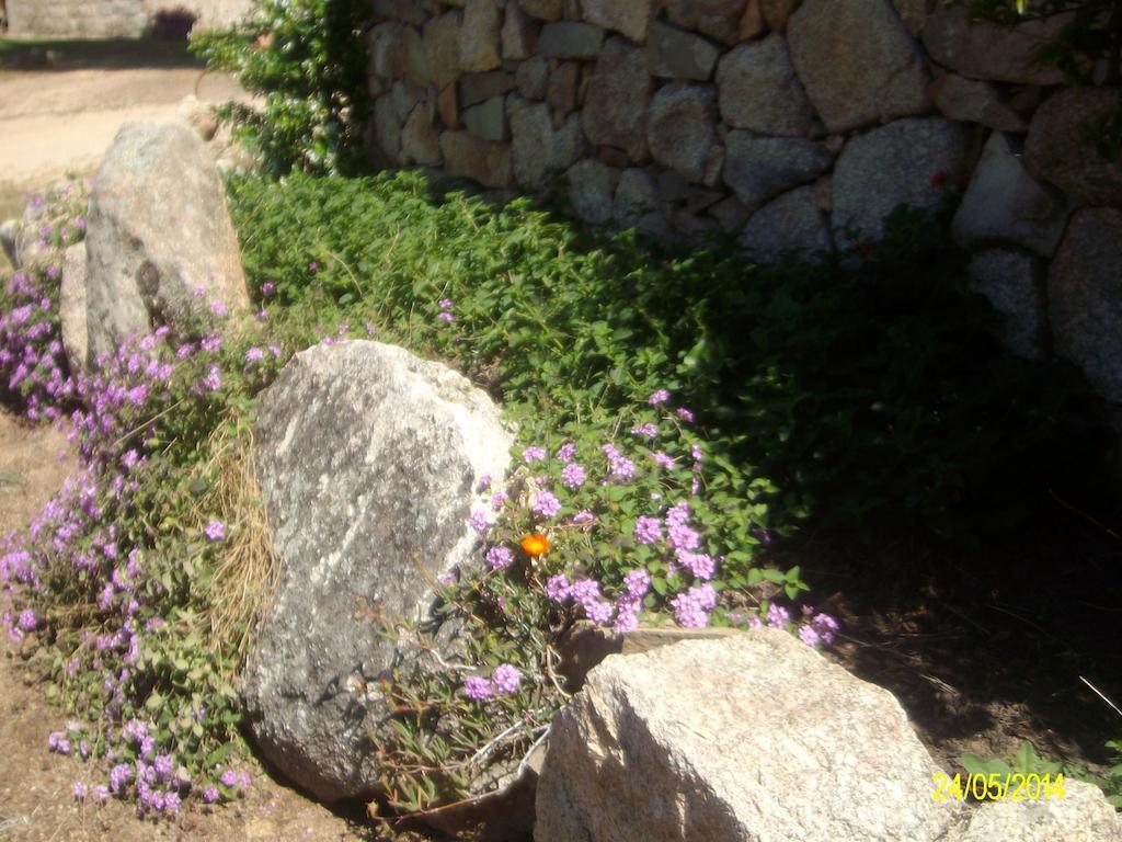 Bed and Breakfast Agriturismo Spridda Arzachena Exterior foto