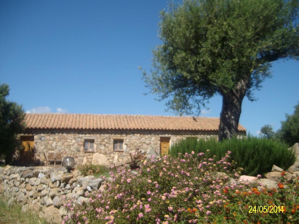 Bed and Breakfast Agriturismo Spridda Arzachena Exterior foto