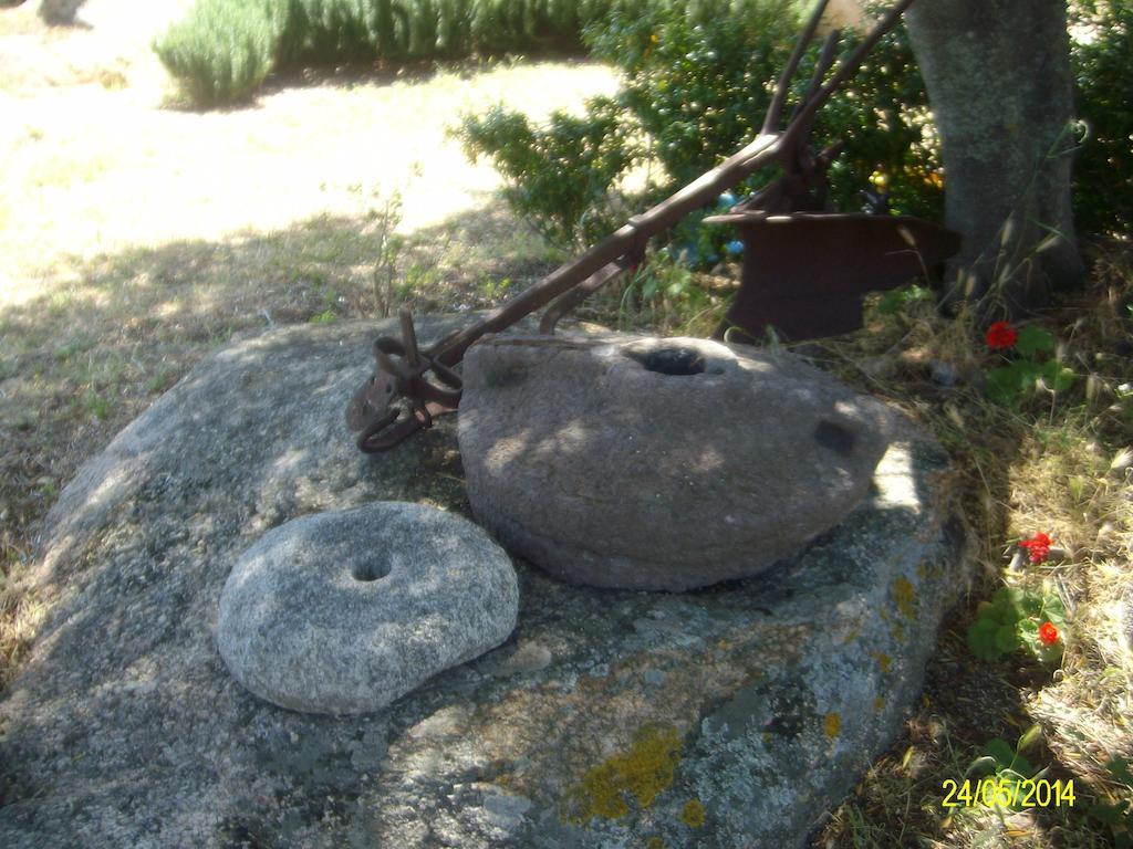 Bed and Breakfast Agriturismo Spridda Arzachena Exterior foto